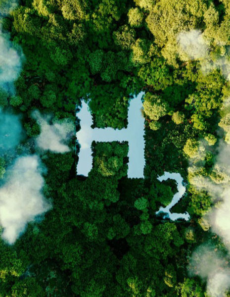 defhy-actor-hydrogen-sector